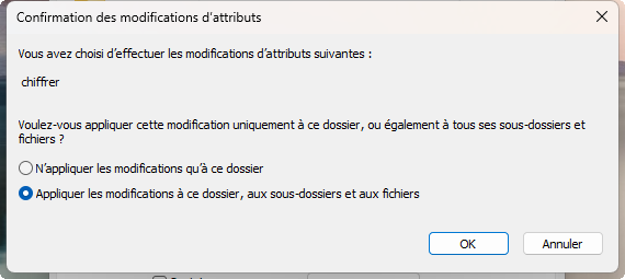 Guide Complet Comment Crypter Un Dossier Dans Windows Avec Un Mot